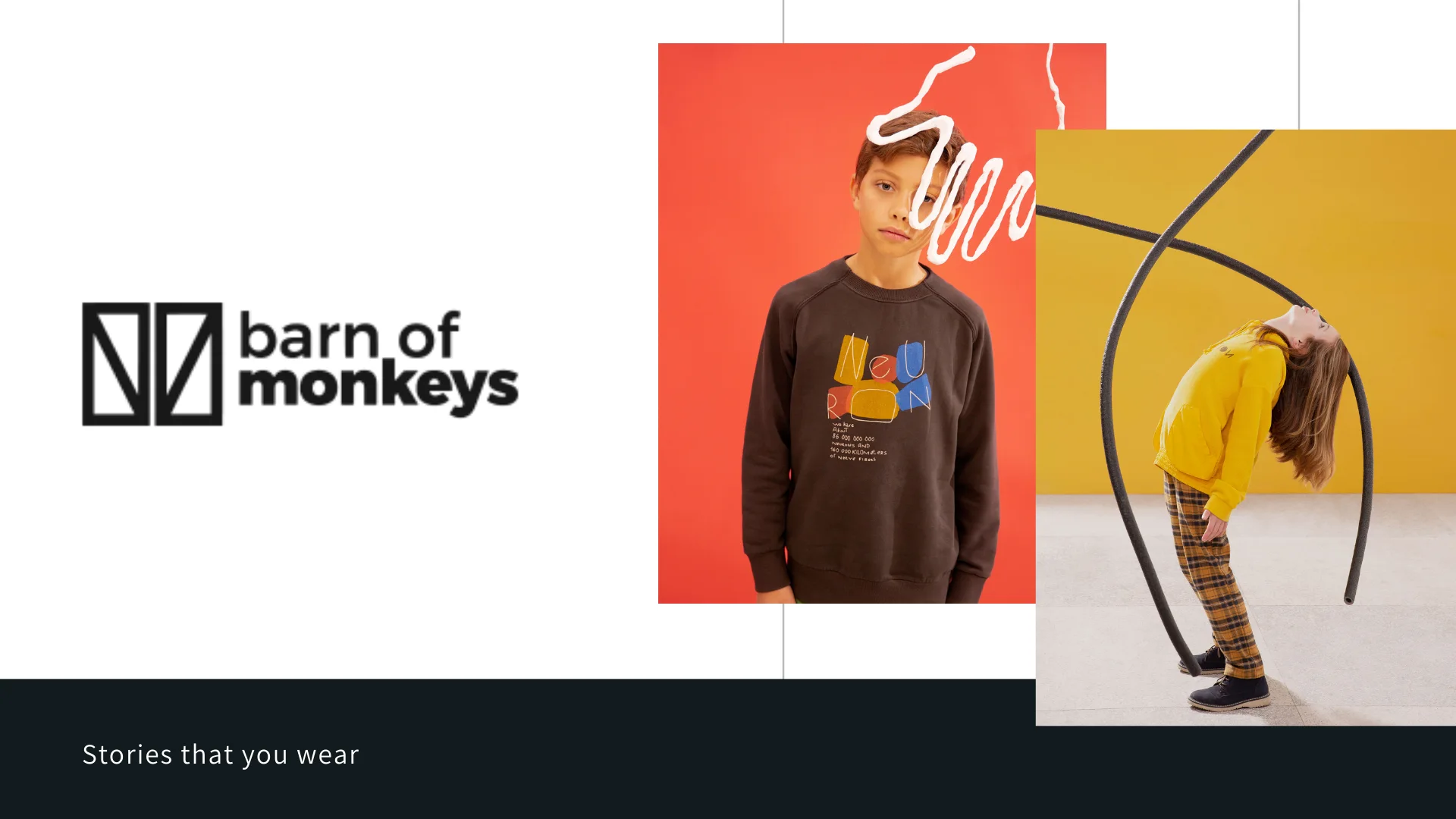 Barn Monkeys Corporate Document